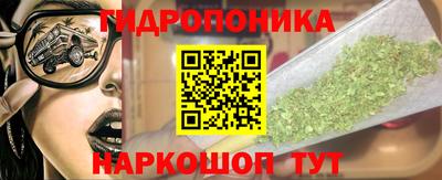 прущие крисы Пугачёв