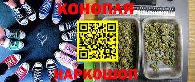 mdpv Рыбинск