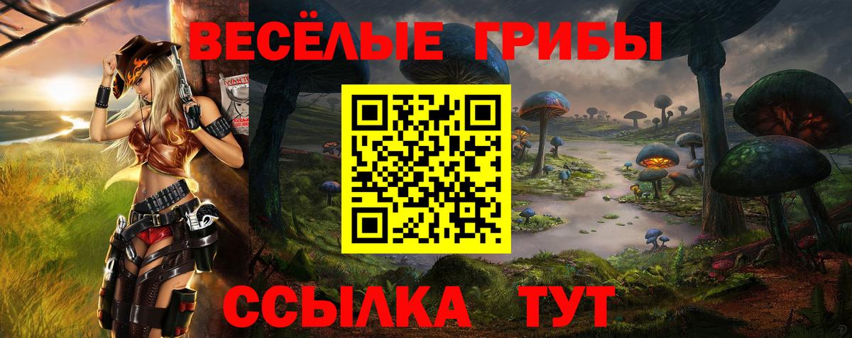 Галлюциногенные грибы Cubensis  Галлюциногенные грибы Magic Shrooms  купить наркоту  Светлоград  Вход с VPN 