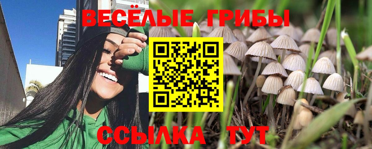Галлюциногенные грибы Magic Shrooms Светлоград