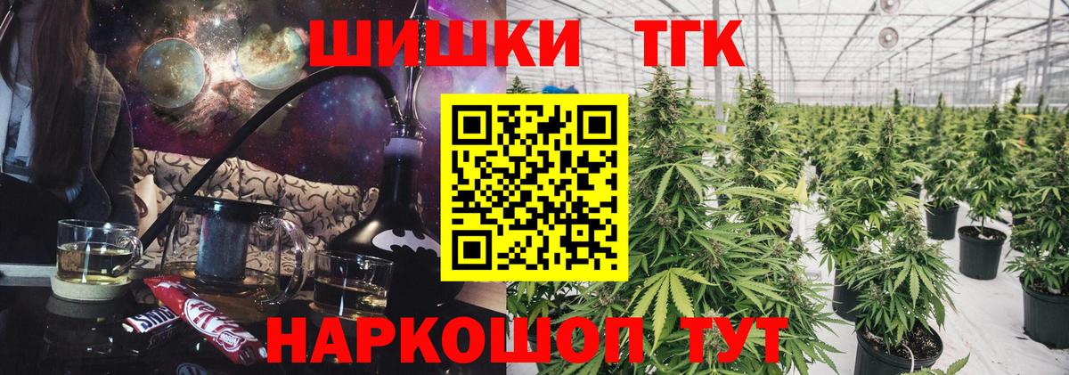 Каннабис индика Светлоград